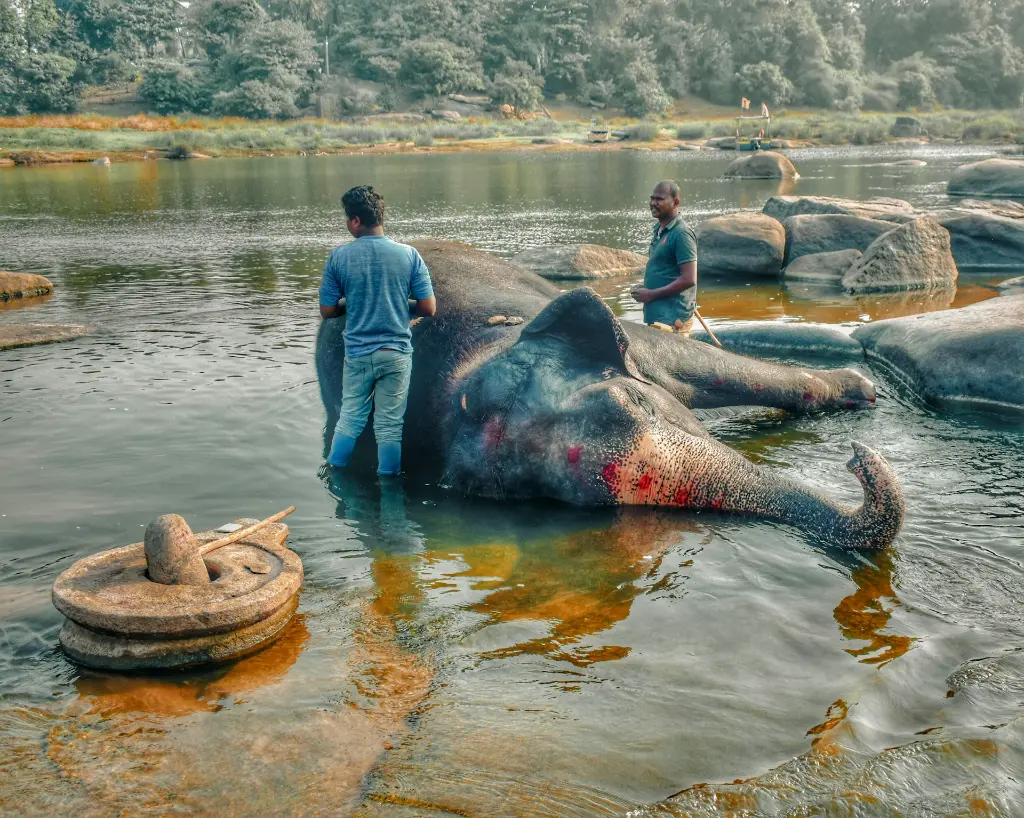 unsplash_wDGaCWL8MjM_HAMPI.webp.jpg.jpg.jpg.jpg.jpg.jpg.jpg