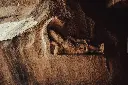 unsplash_OrlDXQ15DPk_HAMPI.webp.jpg.jpg.jpg.jpg.jpg